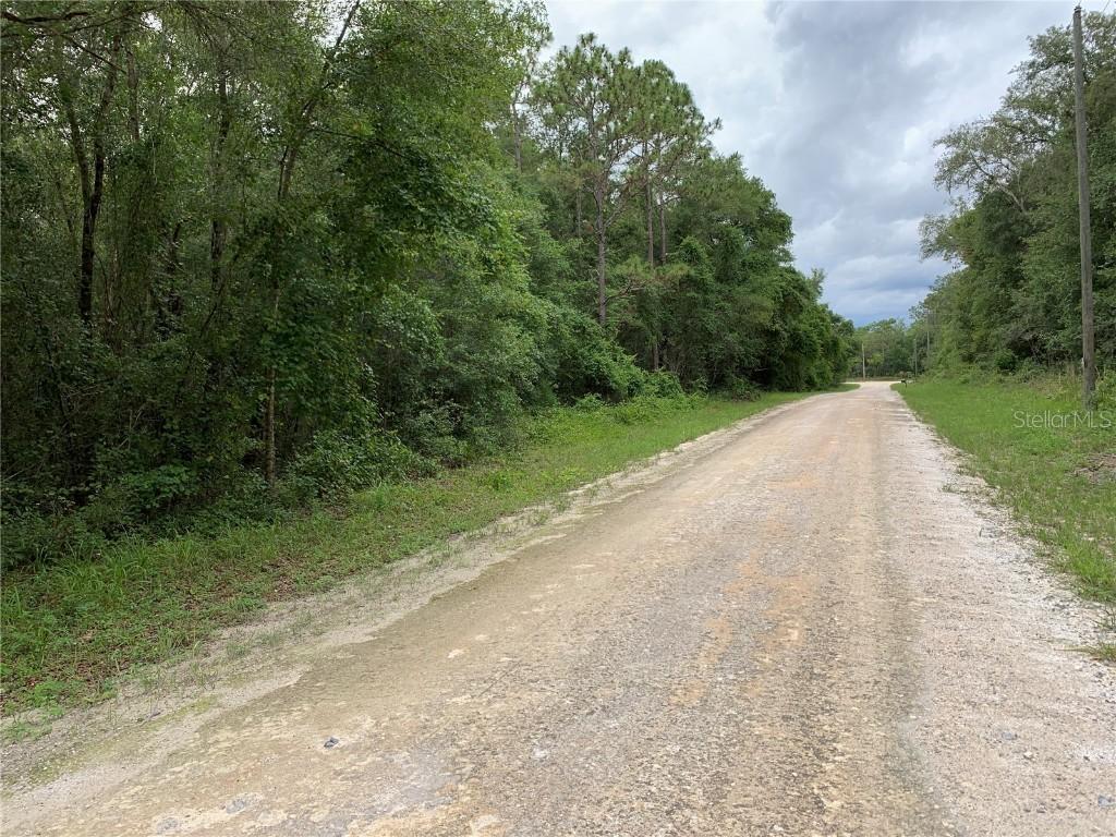 Nile Ave., Webster, FL 33597