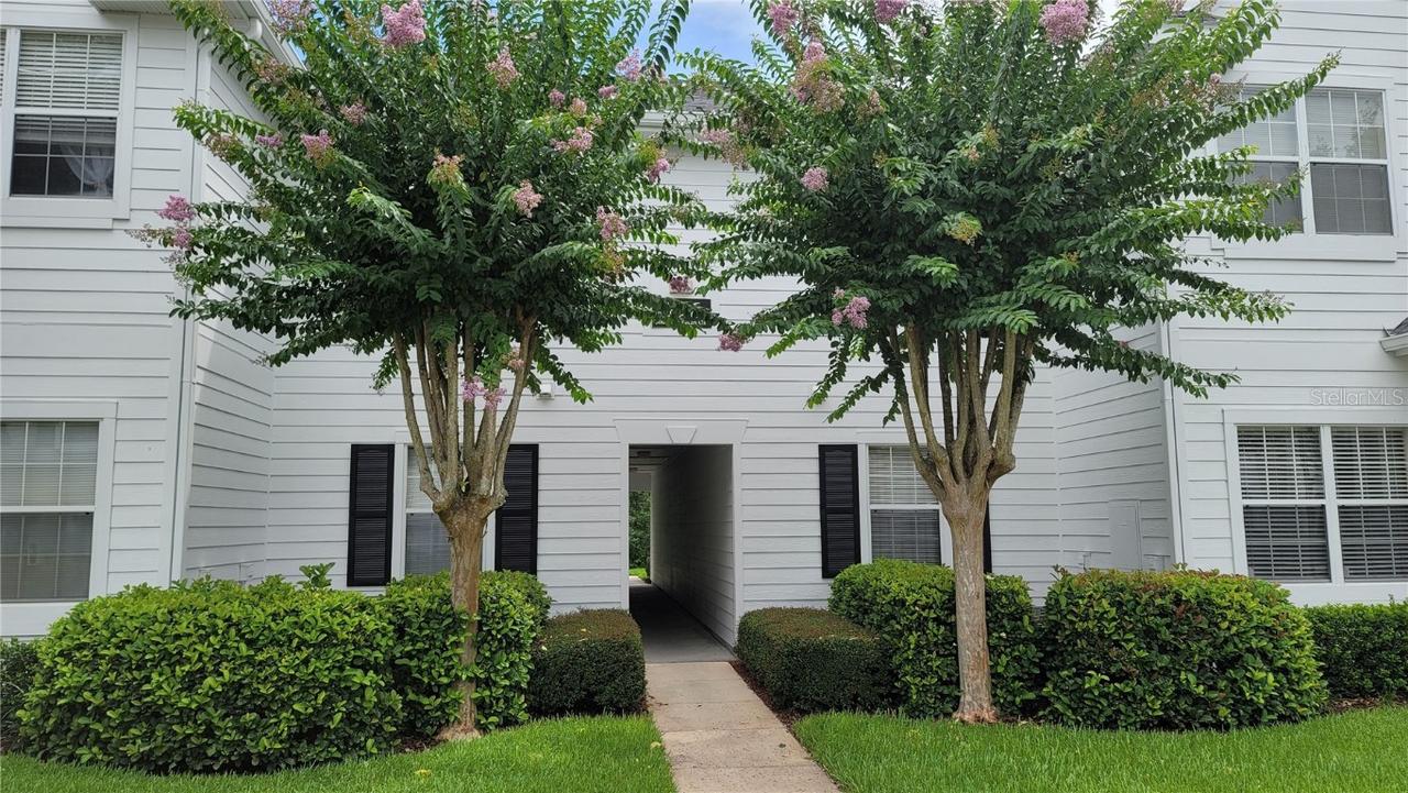316 Southern Pecan Cir. #207, Winter Garden, FL 34787