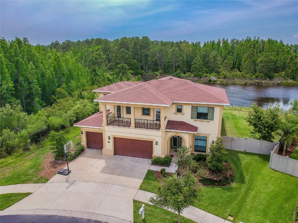 31943 Mardelle Pl., Wesley Chapel, FL 33543