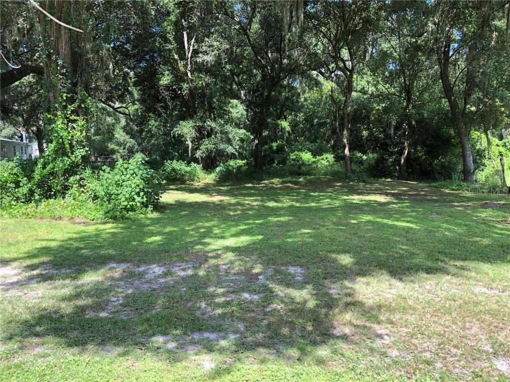 Dove Meadow Tr., Lakeland, FL 33810