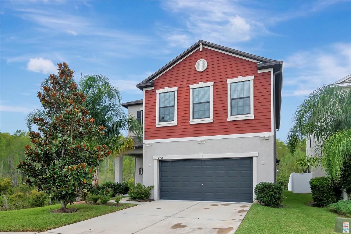18972 Hampstead Heath Ct., Land O Lakes, FL 34638