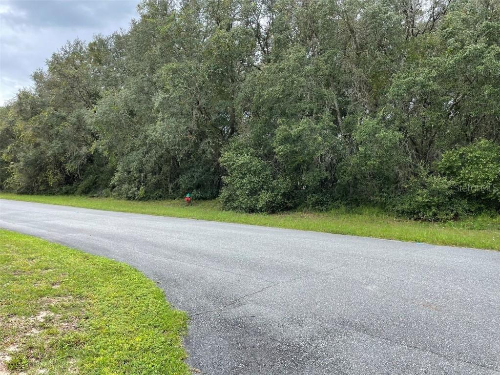 SW 43rd Avenue Rd., Ocala, FL 34473