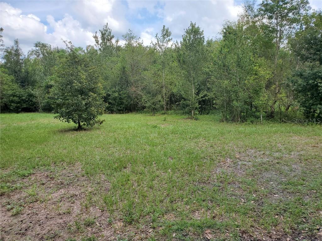 Cork Rd., Plant City, FL 33565