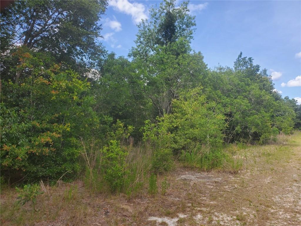 TBD Ash Pass Run, Ocala, FL 34472
