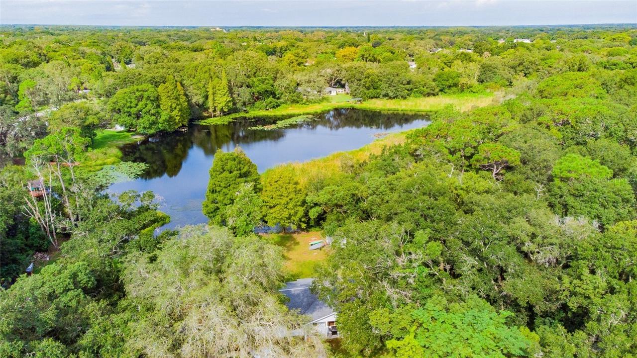 1001 W 131st Ave., Tampa, FL 33612