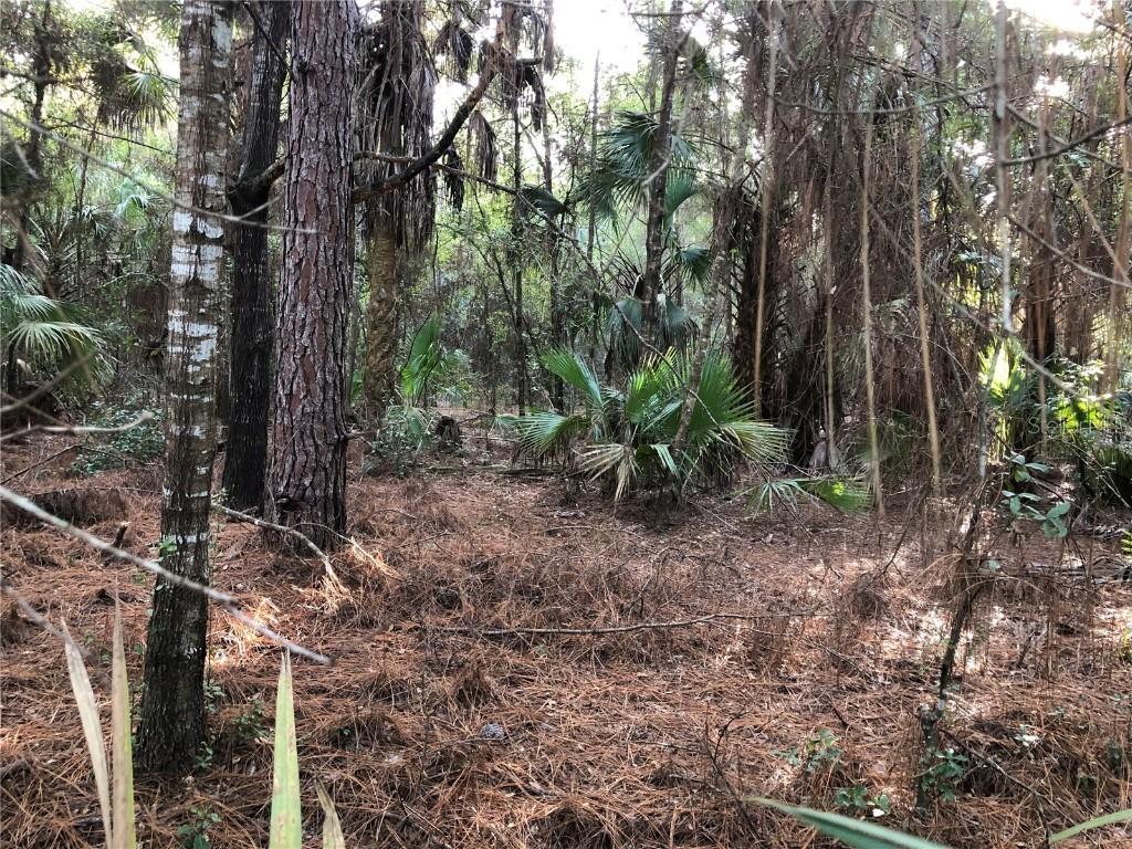 9121 N Peachbud Point, Crystal River, FL 34428