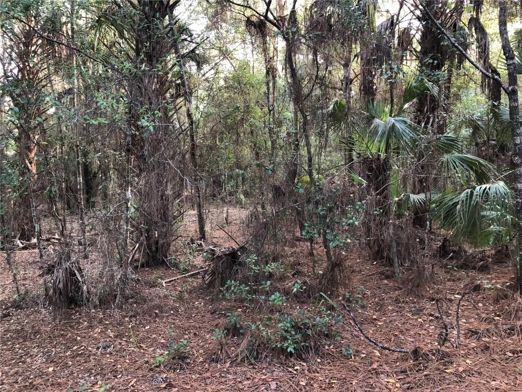 9153 N Peachbud Point, Crystal River, FL 34428