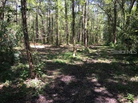 33809 Saint Joe Rd., Dade City, FL 33525