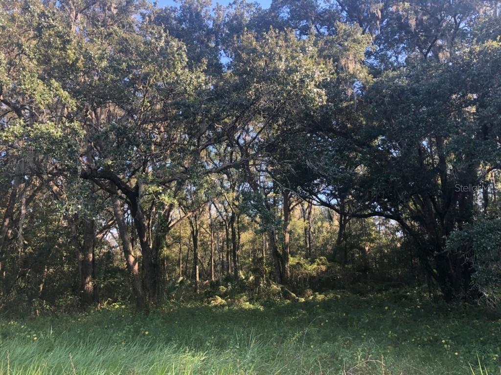 Fields Rd., Lakeland, FL 33801