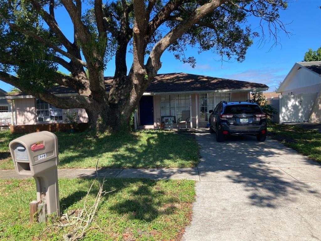 8223 Drycreek Dr., Tampa, FL 33615
