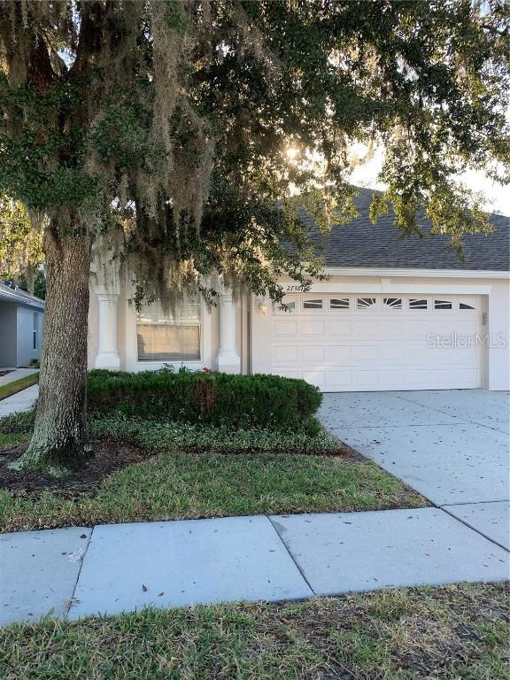 2738 Tanglewylde Dr., Land O Lakes, FL 34638