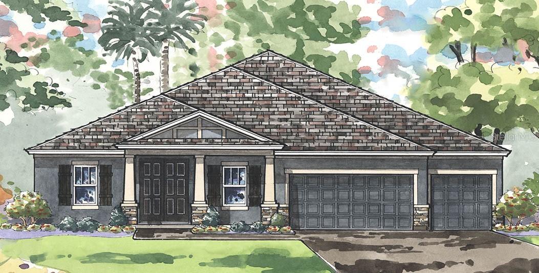 8792 Birchleaf Ct., Land O Lakes, FL 34637