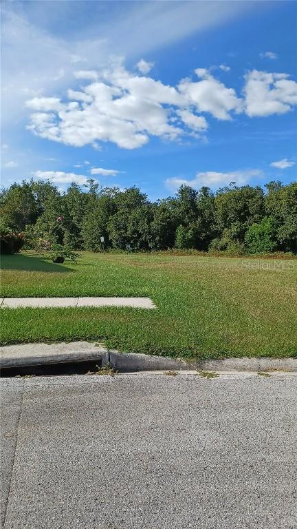 542 Lindsay Anne Ct., Plant City, FL 33563