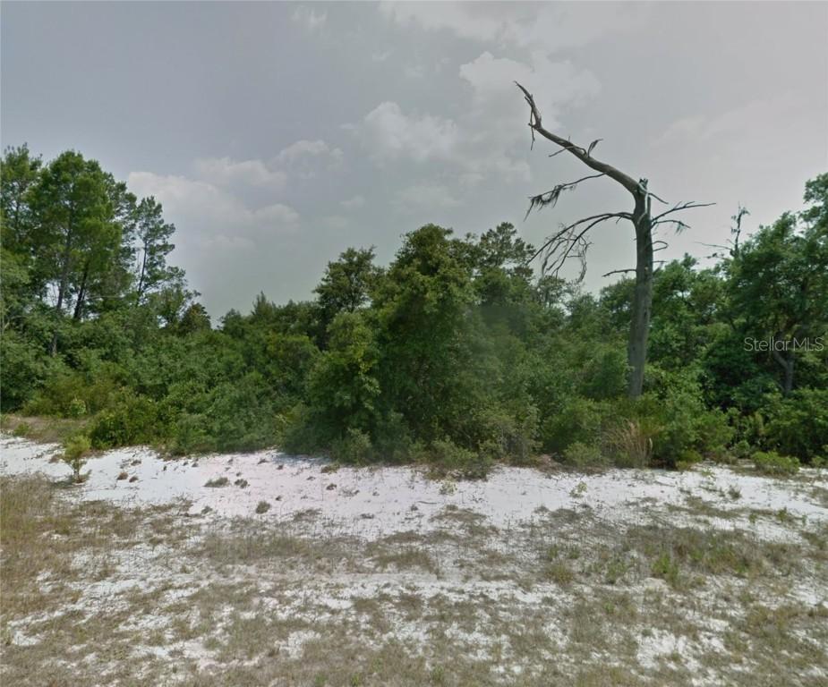 116 Tulip Ln., Poinciana, FL 34759
