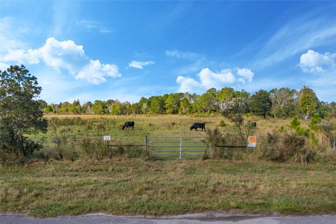 Backland Path Rd., Polk City, FL 33868