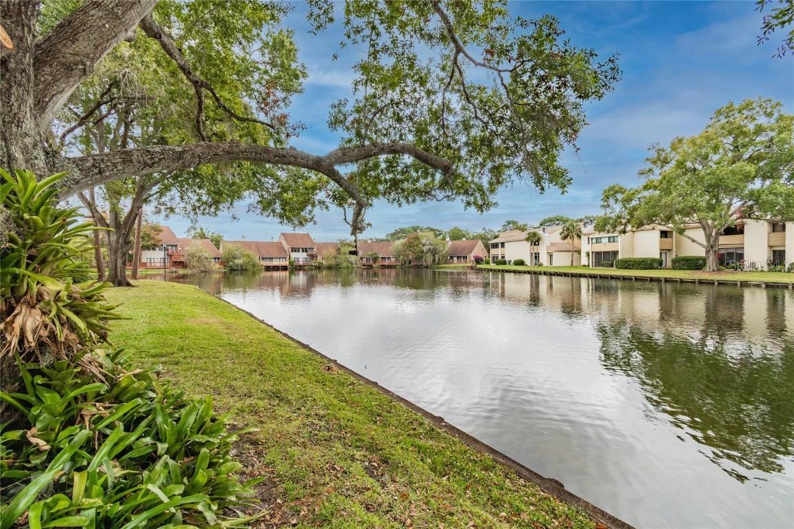 4106 Pinelake Ln. #101, Tampa, FL 33618