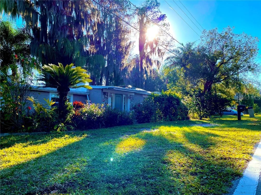 5028 School Rd., Land O Lakes, FL 34638