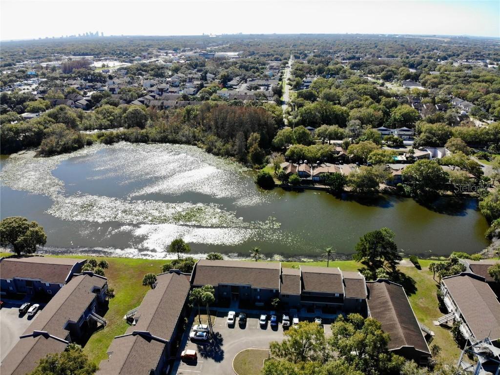 4036 Cortez Dr. #C, Tampa, FL 33614