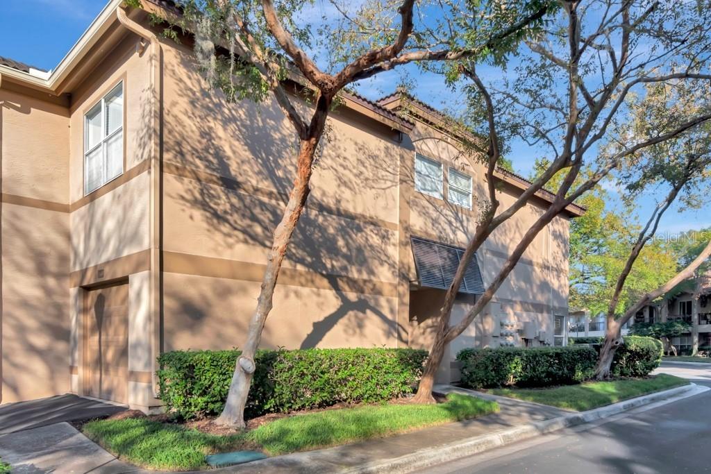 860 Normandy Trace Rd., Tampa, FL 33602