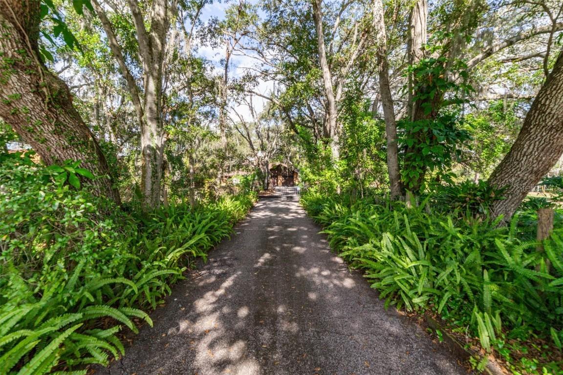 10610 Johanna Ave., Riverview, FL 33578