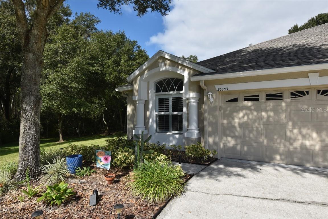 30803 Prout Ct., Wesley Chapel, FL 33543