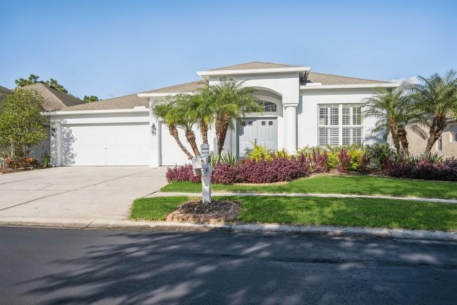 3443 Juneberry Dr., Wesley Chapel, FL 33543