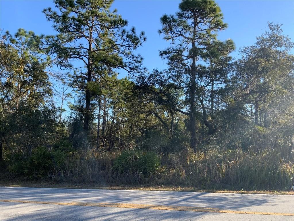 8362 Nightingale Rd., Weeki Wachee, FL 34613