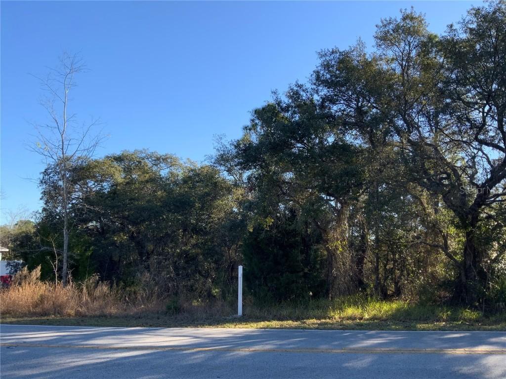 8372 Nightingale Rd., Weeki Wachee, FL 34613