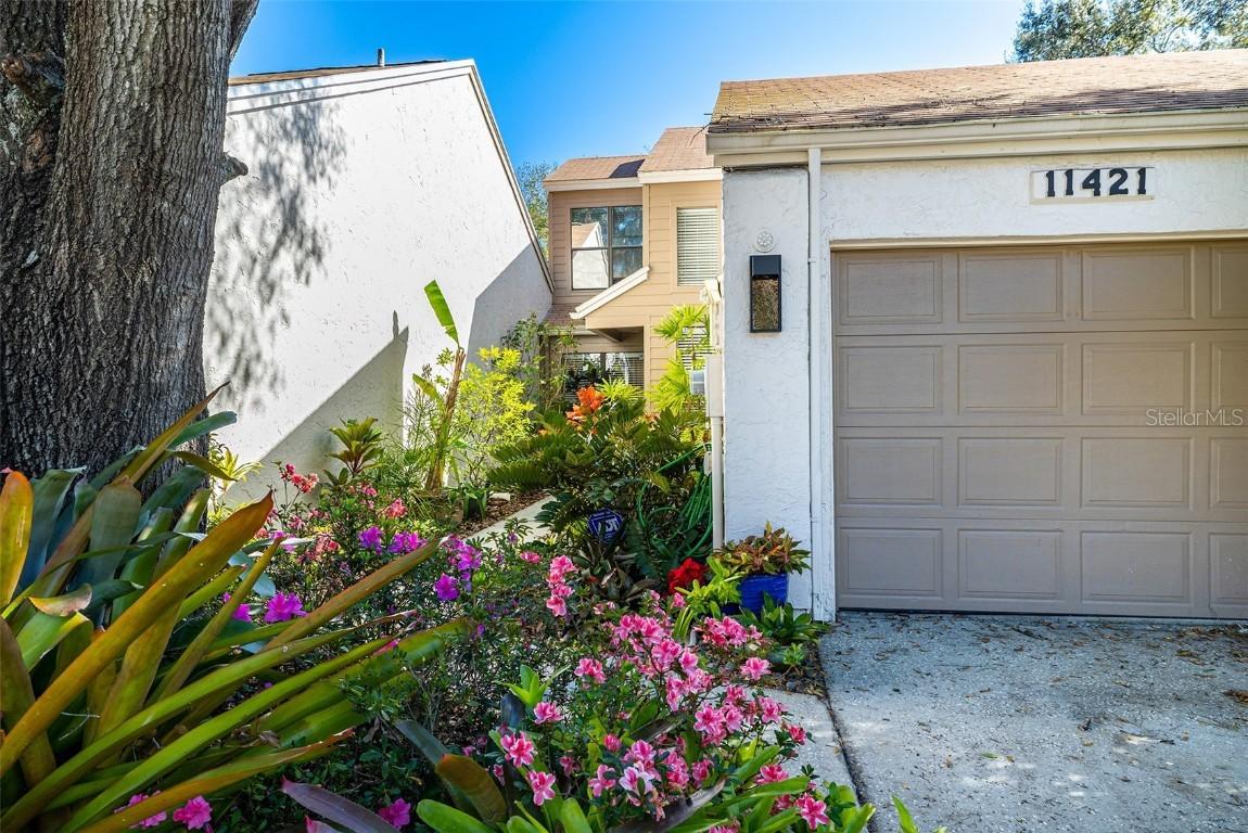 11421 Galleria Dr., Tampa, FL 33618