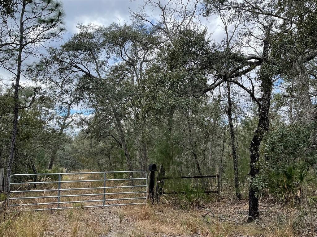 10319 Maryland Ave., Weeki Wachee, FL 34613