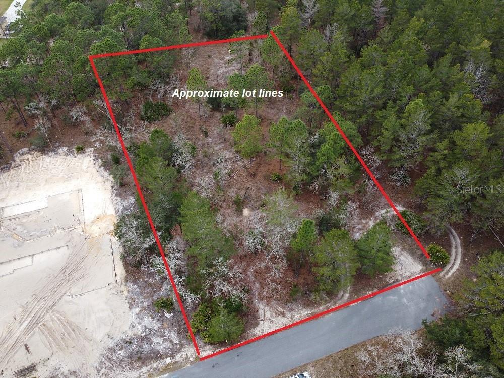 9135 Marcus Rd., Weeki Wachee, FL 34613