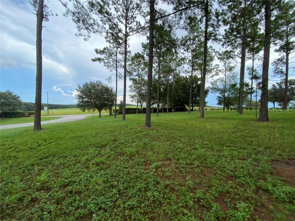 35940 Ramsey Ridge Dr., Dade City, FL 33523