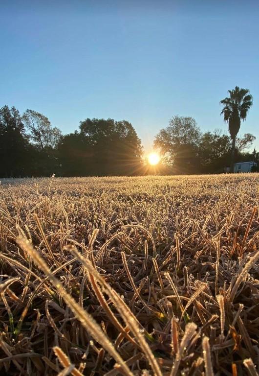 390 Moale Rd., Brooksville, FL 34604