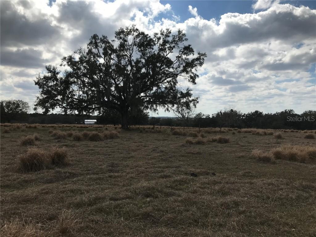 Hayman Rd., Brooksville, FL 34602