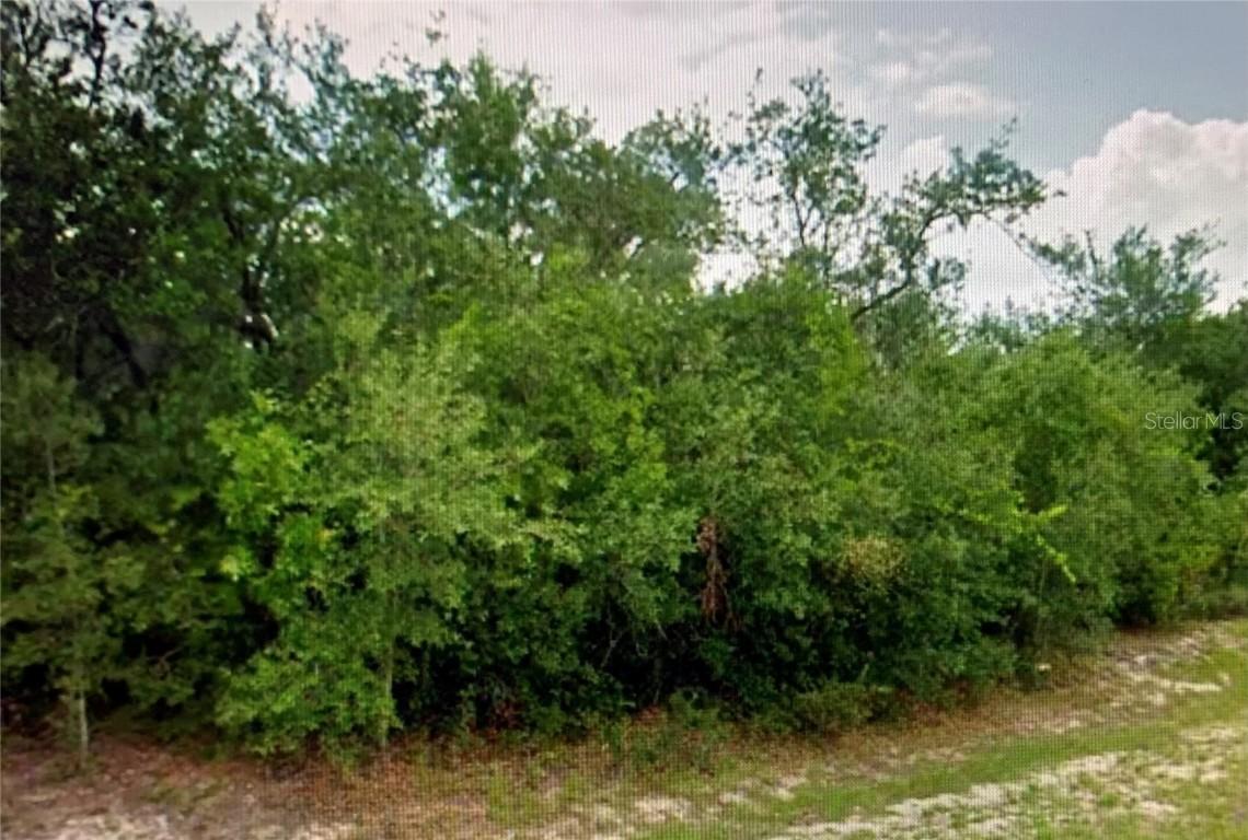 1202 Alafia Way, Poinciana, FL 34759