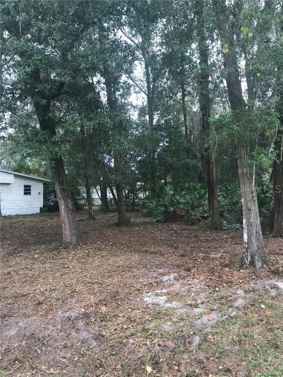 Nw 14th Way, Lake Panasoffkee, FL 33538