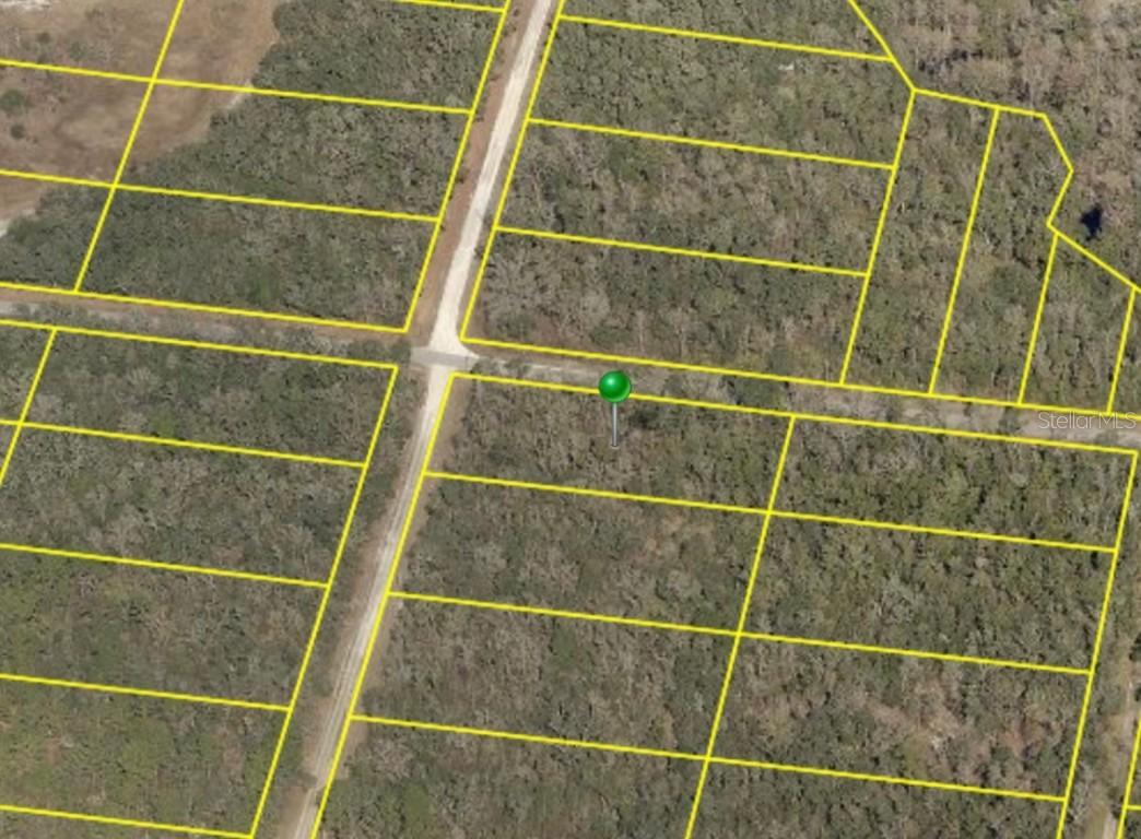 35160 Umbrella Rock Dr., Webster, FL 33597