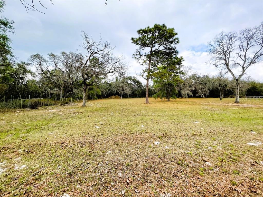 Kitten Trail, Hudson, FL 34669