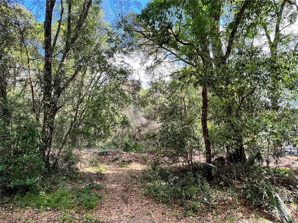 Garfield Ave. #BLK 57 LOT 16, Masaryktown, FL 34604