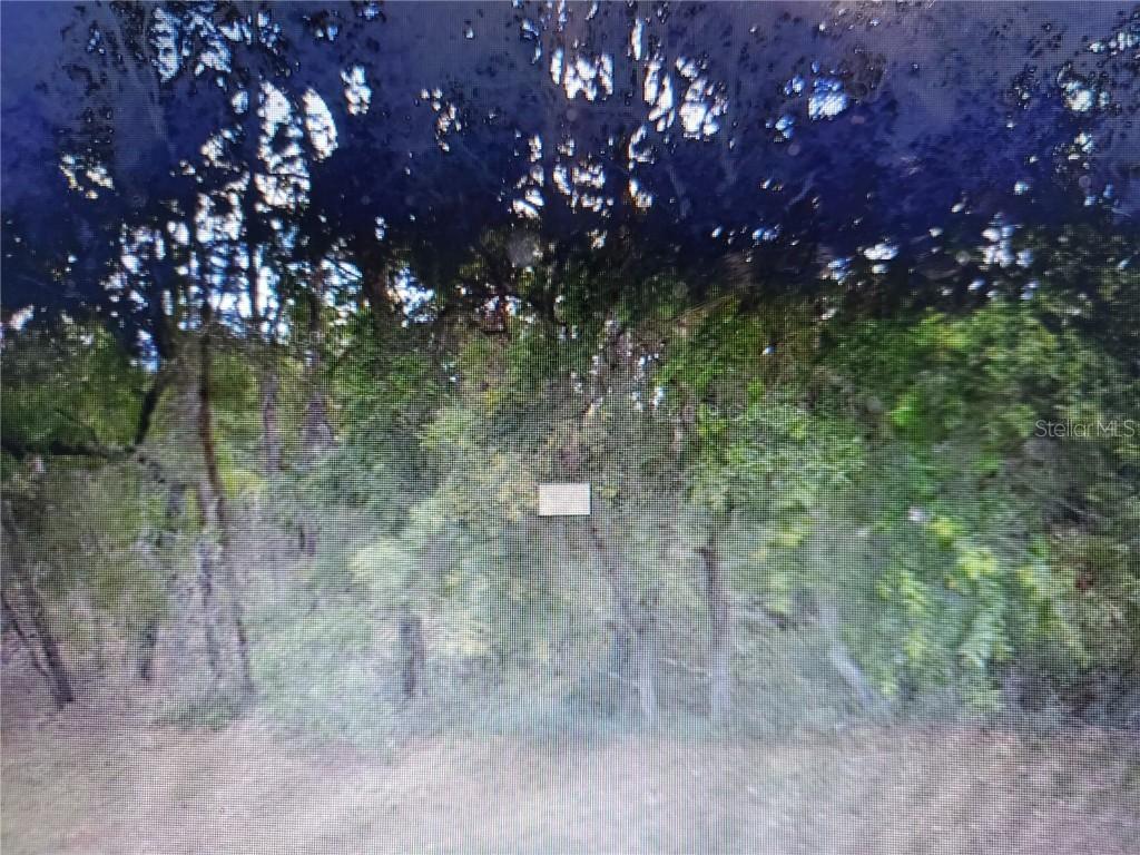 Marion Oaks Blvd., Ocala, FL 34473