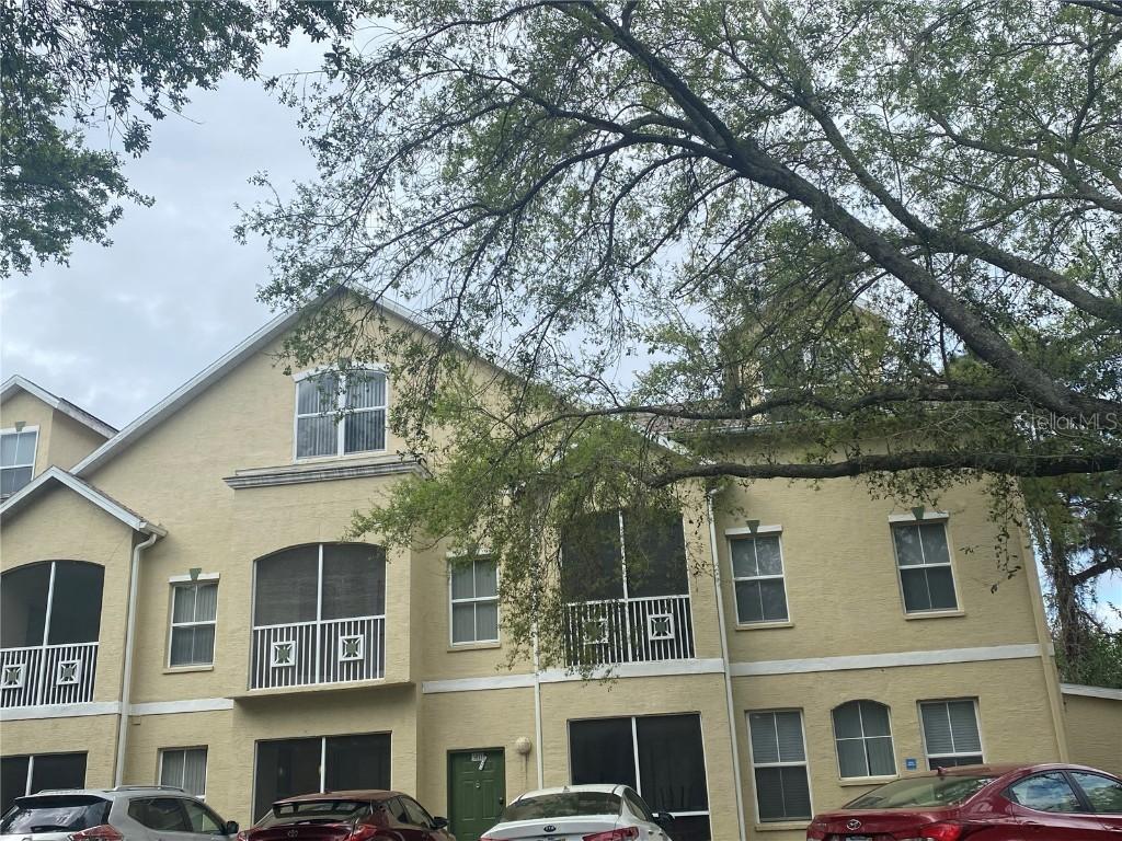 5035 Sunridge Palms Dr. #101, Tampa, FL 33617