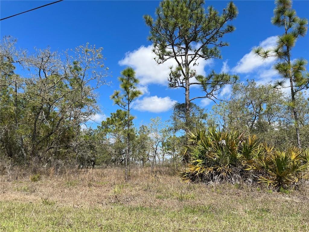 12207 Mirage Ave., Weeki Wachee, FL 34614