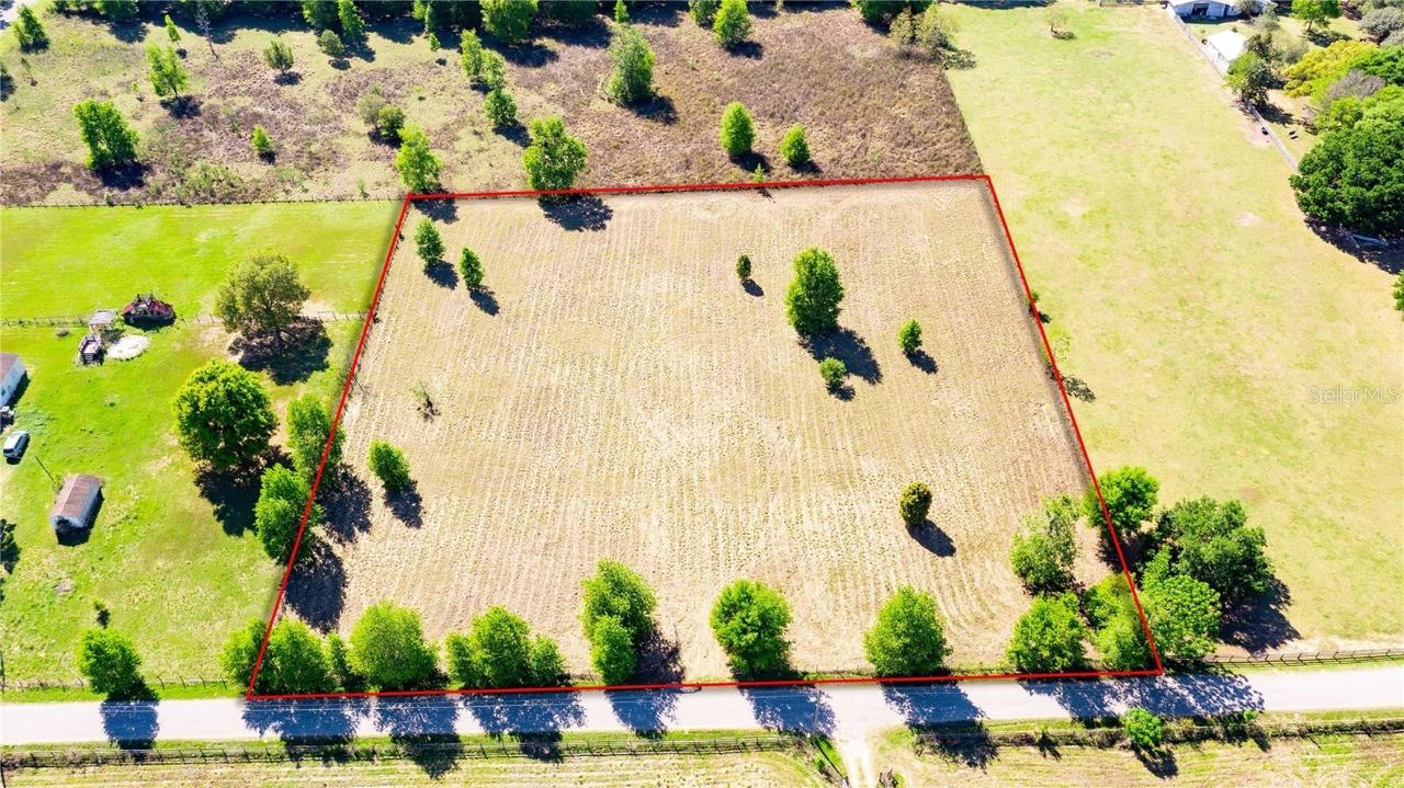 Lapine, Brooksville, FL 34602