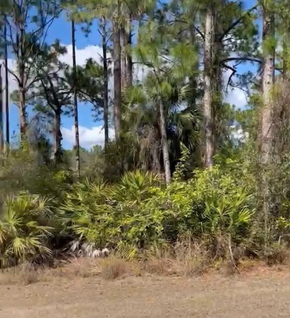 869 Kidvale St., Lehigh Acres, FL 33974