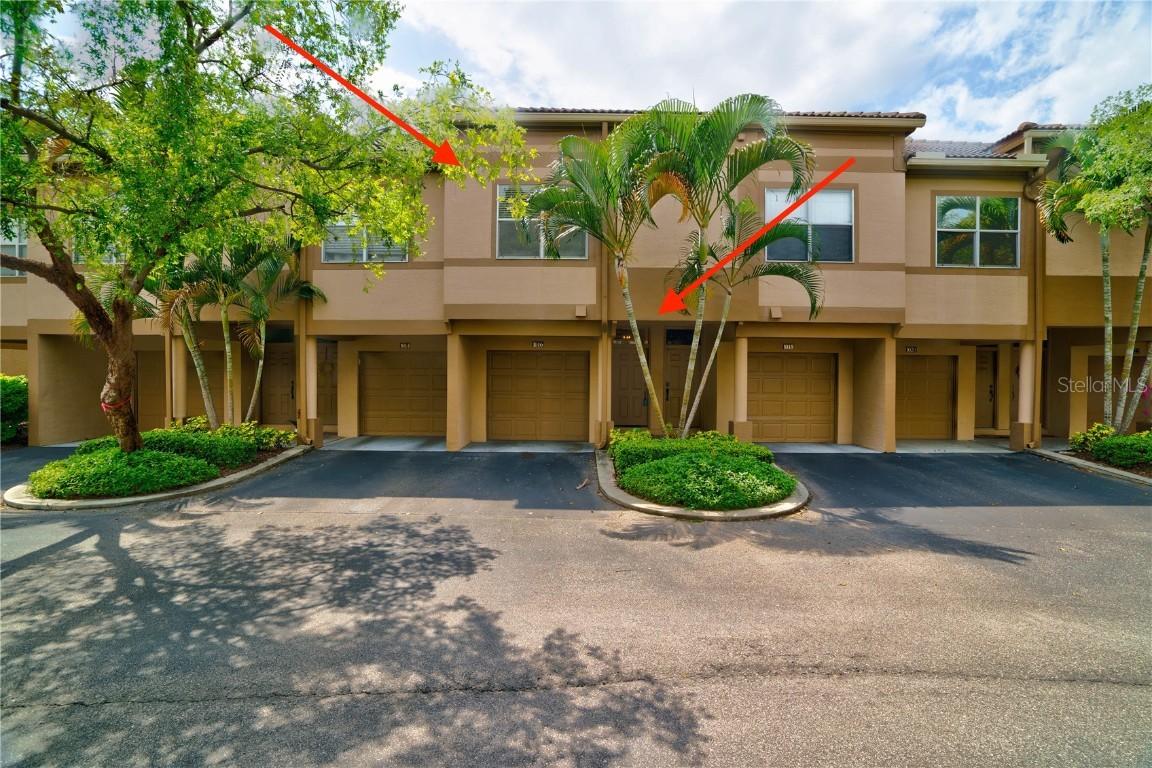 1016 Normandy Trace Rd., Tampa, FL 33602