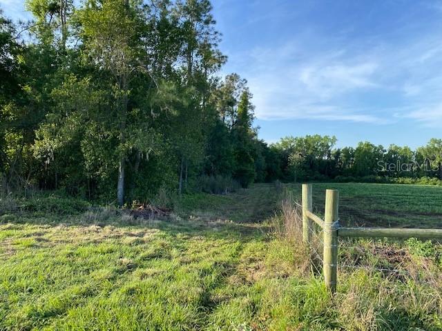 Powerline Rd., Dade City, FL 33523