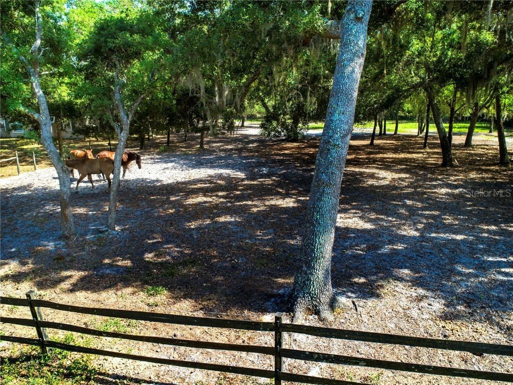 1222 Butch Cassidy Tr., Wimauma, FL 33598