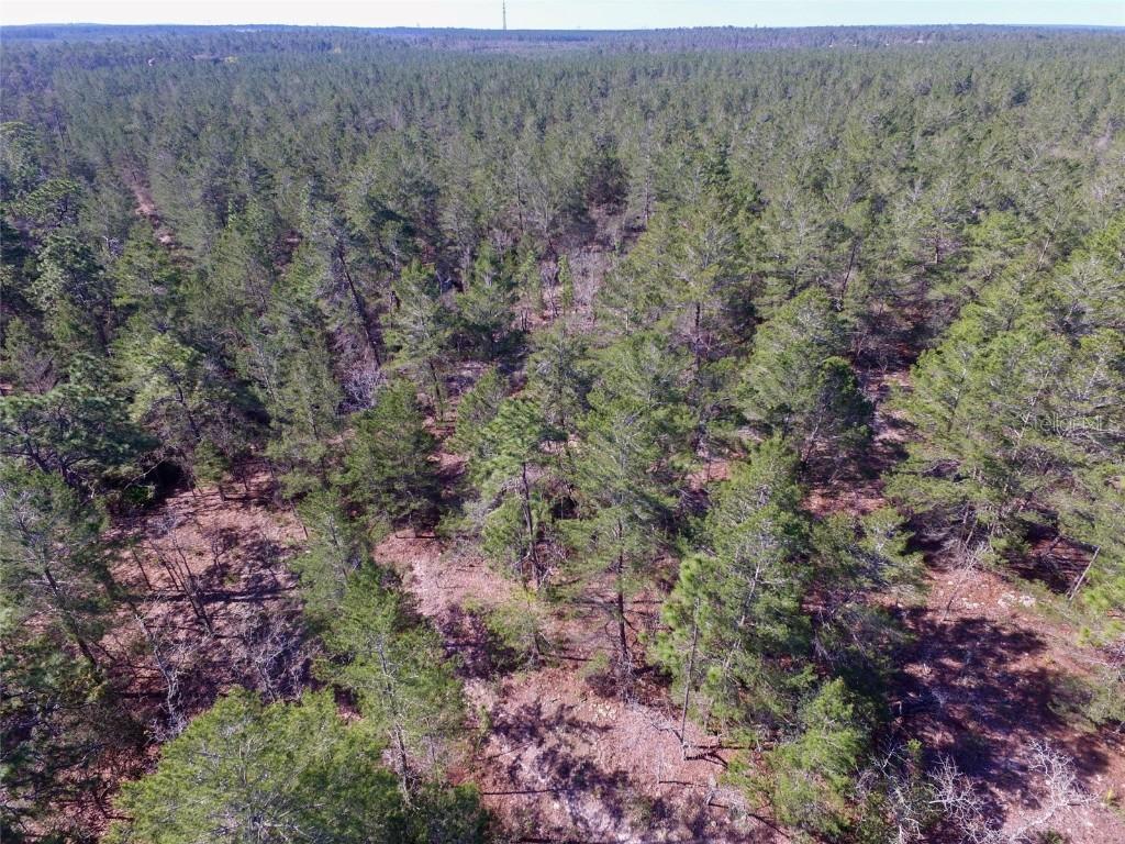 W Gallagher Street, Dunnellon, FL 34433