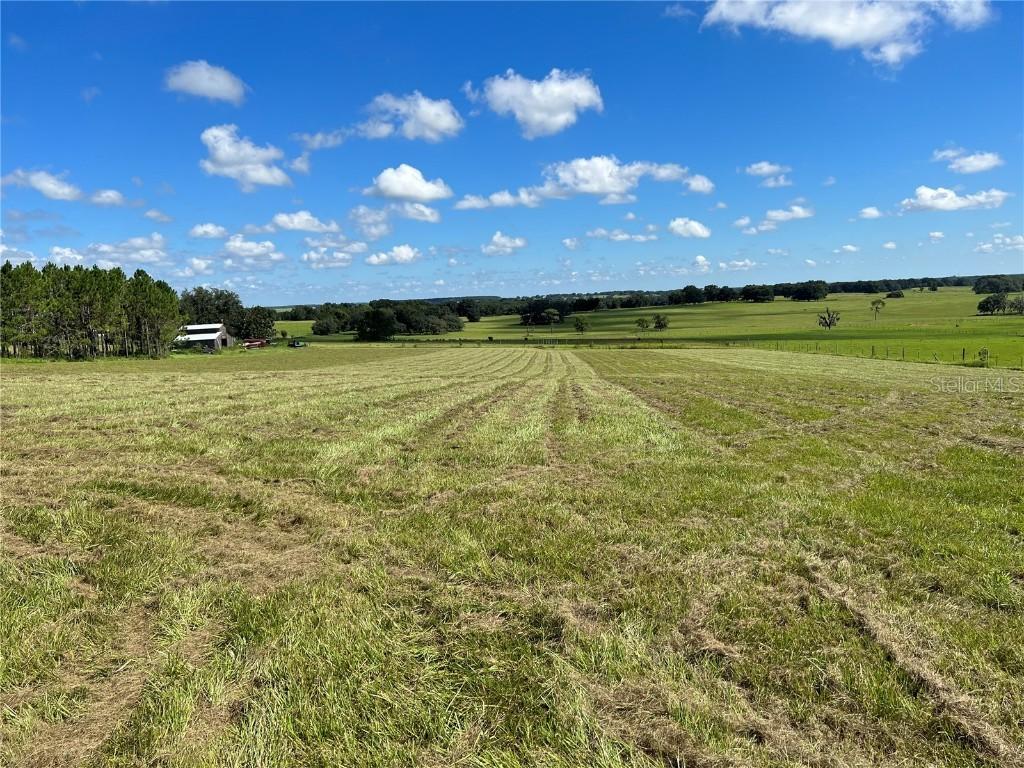 Christian Road, Dade City, FL 33523