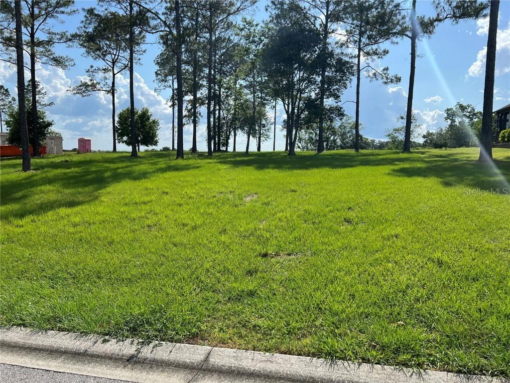 14651 Vista View Ct, Dade City, FL 33523